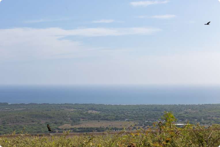 PLN Conuco Web I5A1468