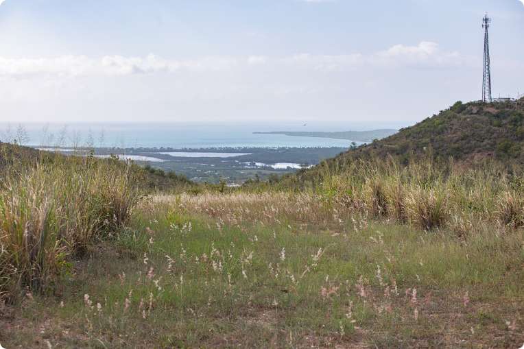 PLN Conuco Web I5A1560