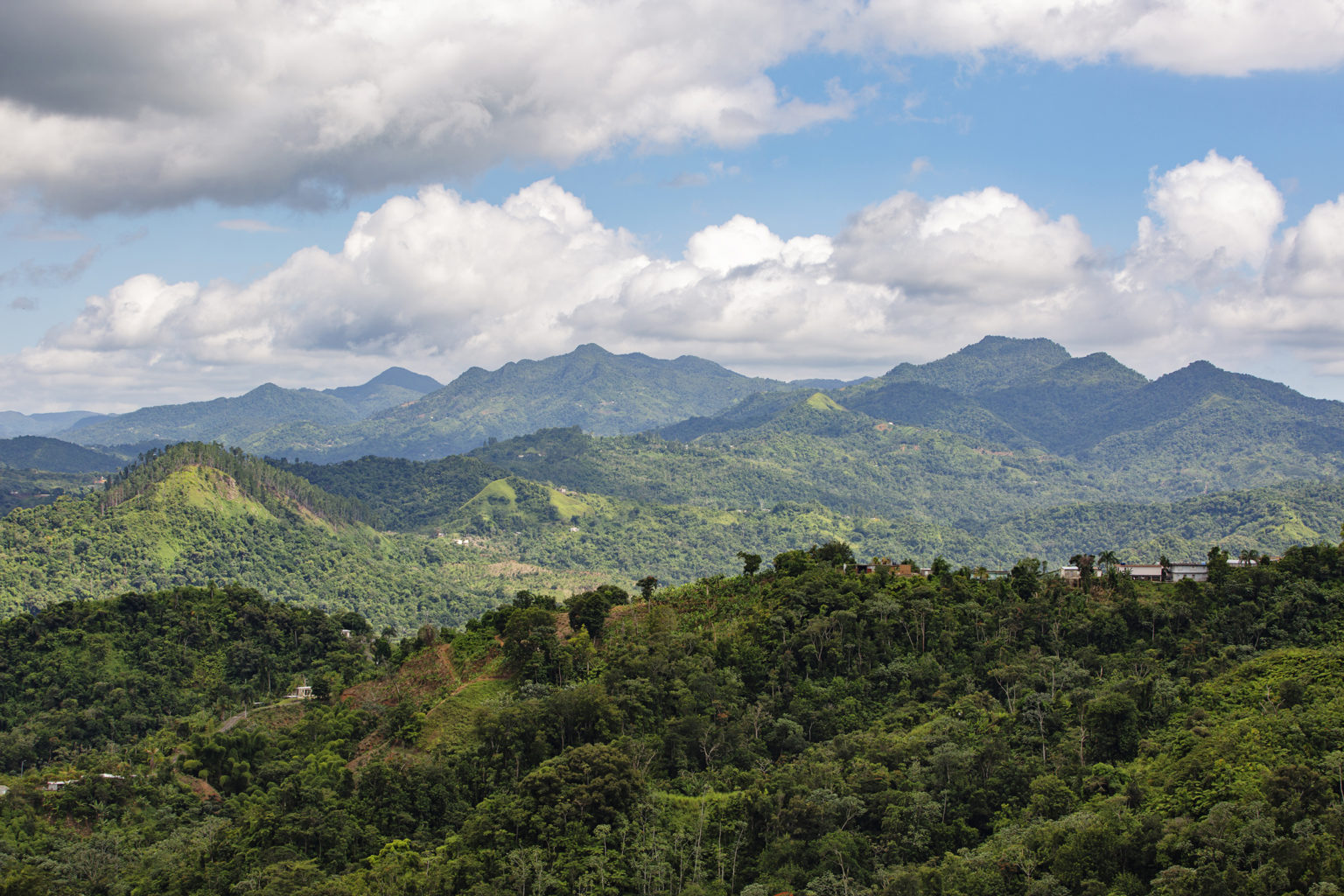 PLN_Lares_web_I5A2496